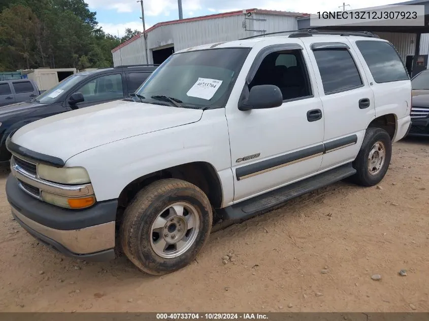 2002 Chevrolet Tahoe Ls VIN: 1GNEC13Z12J307923 Lot: 40733704