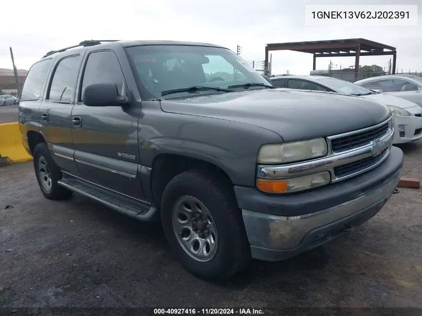 2002 Chevrolet Tahoe Ls VIN: 1GNEK13V62J202391 Lot: 40927416