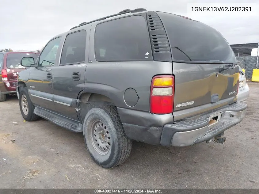 2002 Chevrolet Tahoe Ls VIN: 1GNEK13V62J202391 Lot: 40927416