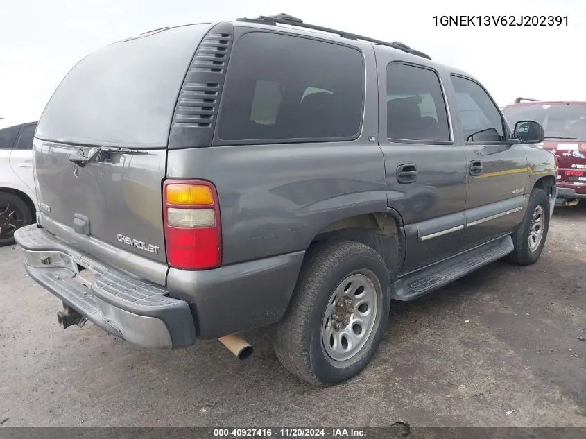 2002 Chevrolet Tahoe Ls VIN: 1GNEK13V62J202391 Lot: 40927416