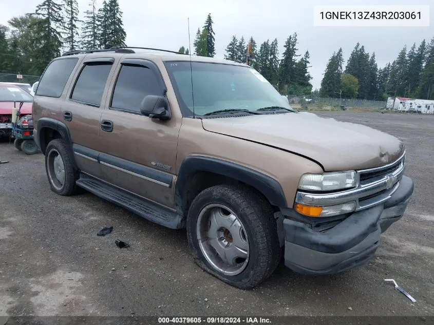 2003 Chevrolet Tahoe Ls VIN: 1GNEK13Z43R203061 Lot: 40379605