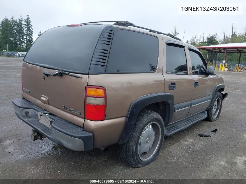 2003 Chevrolet Tahoe Ls VIN: 1GNEK13Z43R203061 Lot: 40379605