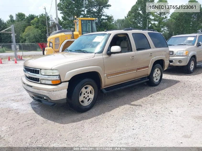 1GNEC13T65J123061 2005 Chevrolet Tahoe Lt