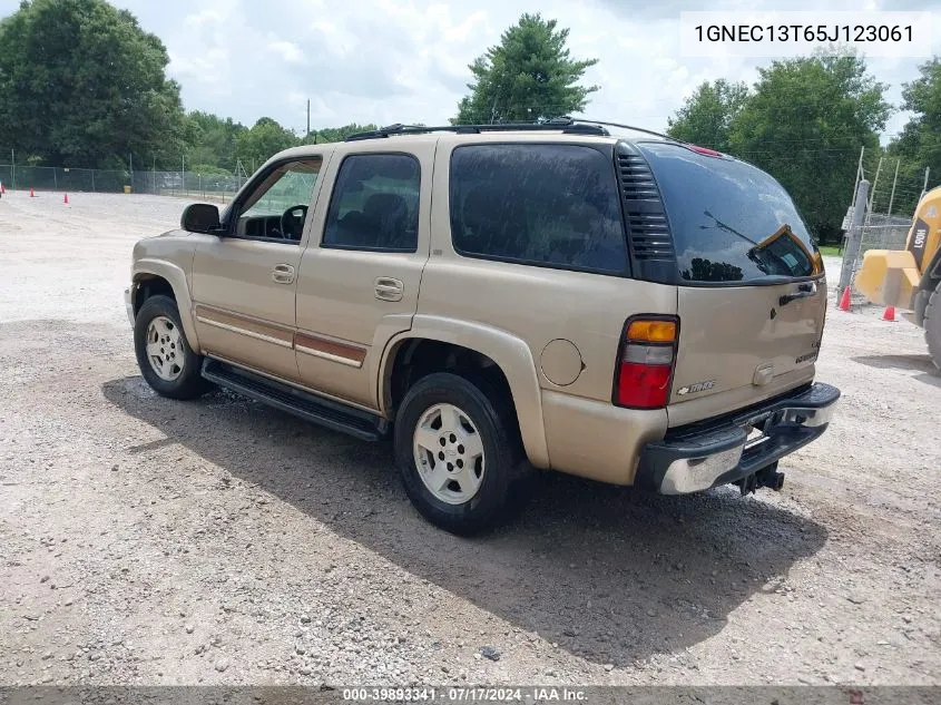 2005 Chevrolet Tahoe Lt VIN: 1GNEC13T65J123061 Lot: 39893341