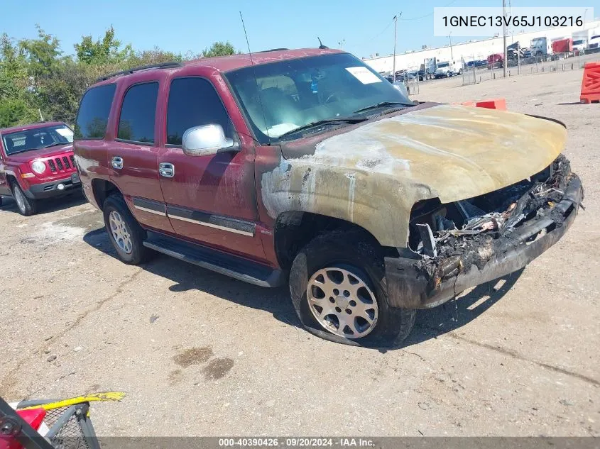 2005 Chevrolet Tahoe Ls VIN: 1GNEC13V65J103216 Lot: 40390426