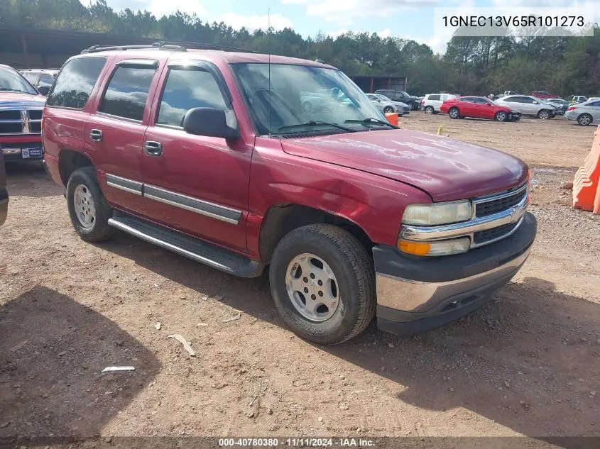 2005 Chevrolet Tahoe Ls VIN: 1GNEC13V65R101273 Lot: 40780380