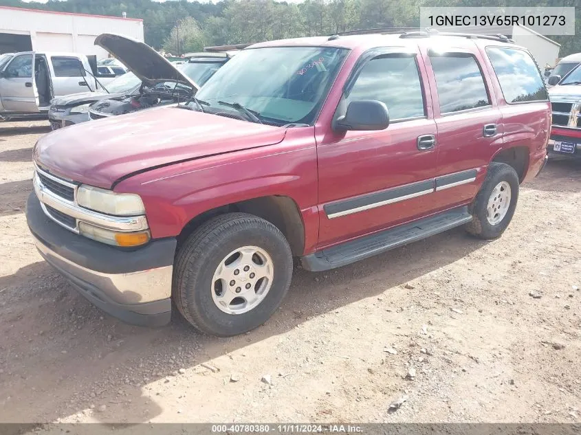 2005 Chevrolet Tahoe Ls VIN: 1GNEC13V65R101273 Lot: 40780380