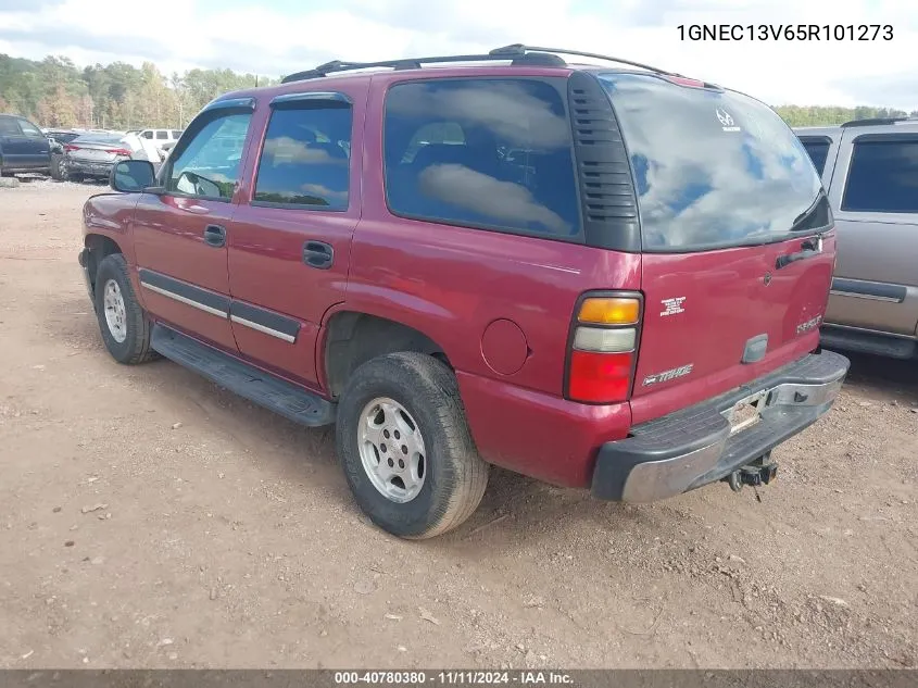 2005 Chevrolet Tahoe Ls VIN: 1GNEC13V65R101273 Lot: 40780380