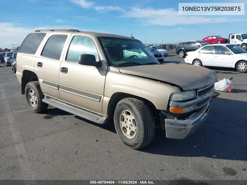 2005 Chevrolet Tahoe Ls VIN: 1GNEC13V75R203875 Lot: 40784404