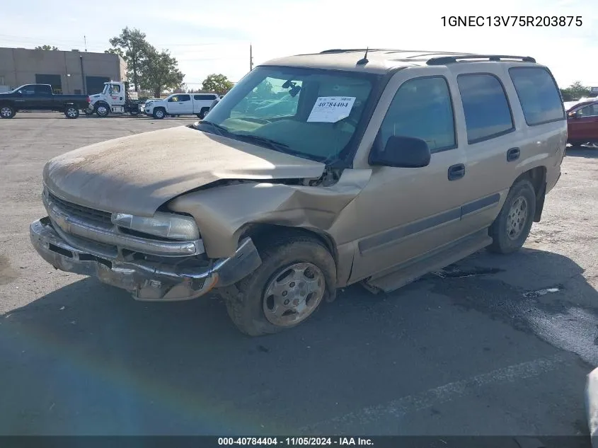 2005 Chevrolet Tahoe Ls VIN: 1GNEC13V75R203875 Lot: 40784404