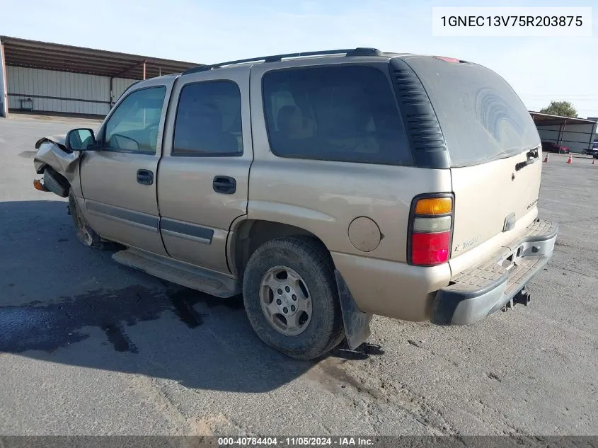 2005 Chevrolet Tahoe Ls VIN: 1GNEC13V75R203875 Lot: 40784404