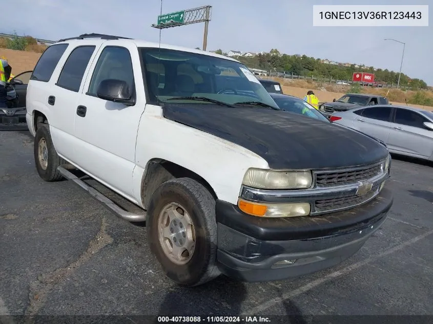 2006 Chevrolet Tahoe Ls VIN: 1GNEC13V36R123443 Lot: 40738088