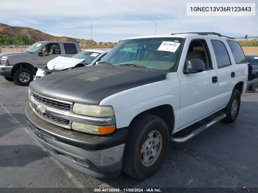 2006 Chevrolet Tahoe Ls VIN: 1GNEC13V36R123443 Lot: 40738088