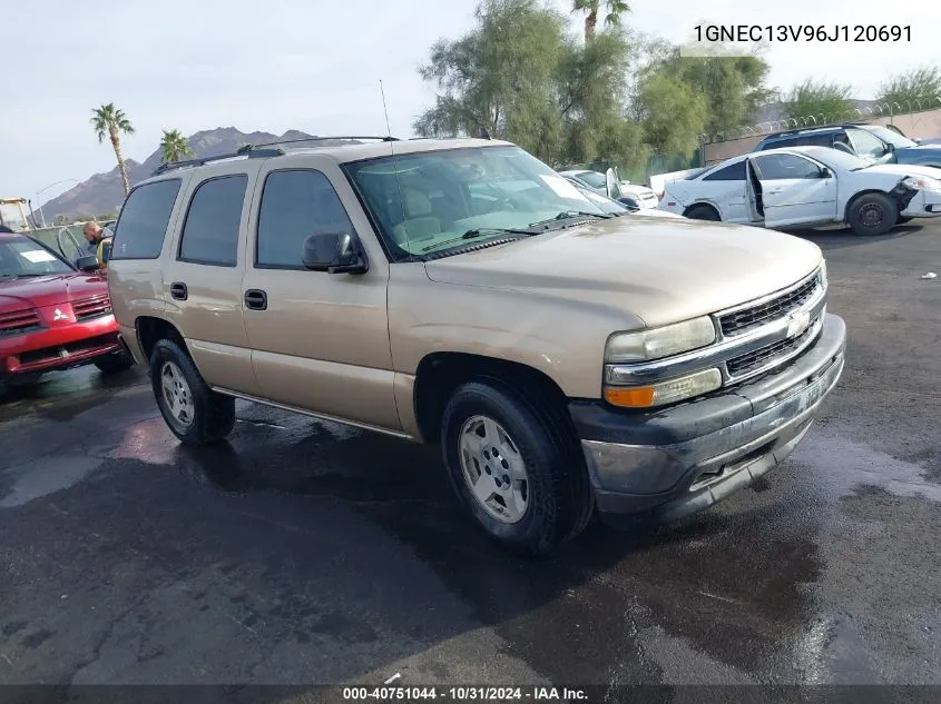 2006 Chevrolet Tahoe Ls VIN: 1GNEC13V96J120691 Lot: 40751044