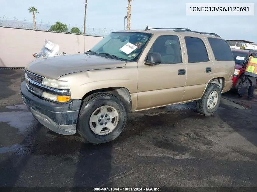 2006 Chevrolet Tahoe Ls VIN: 1GNEC13V96J120691 Lot: 40751044