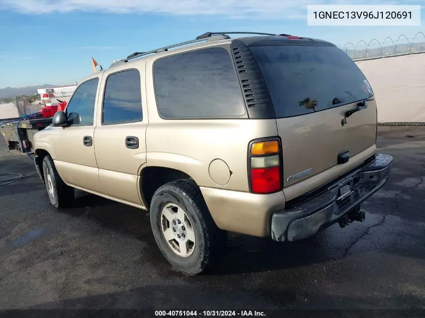 2006 Chevrolet Tahoe Ls VIN: 1GNEC13V96J120691 Lot: 40751044