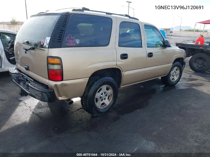 2006 Chevrolet Tahoe Ls VIN: 1GNEC13V96J120691 Lot: 40751044