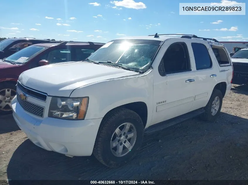 2012 Chevrolet Tahoe Ls VIN: 1GNSCAE09CR289823 Lot: 40632668