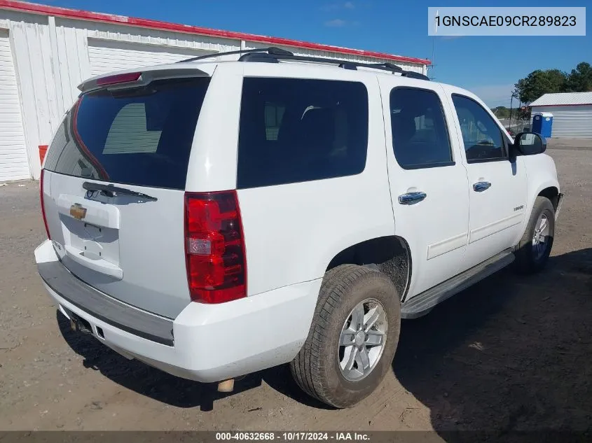 2012 Chevrolet Tahoe Ls VIN: 1GNSCAE09CR289823 Lot: 40632668