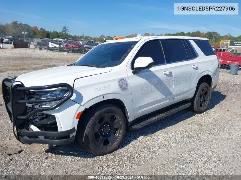 2023 Chevrolet Tahoe 2Wd Commercial Fleet VIN: 1GNSCLED5PR227906 Lot: 40692829