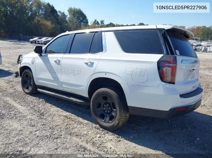 2023 Chevrolet Tahoe 2Wd Commercial Fleet VIN: 1GNSCLED5PR227906 Lot: 40692829