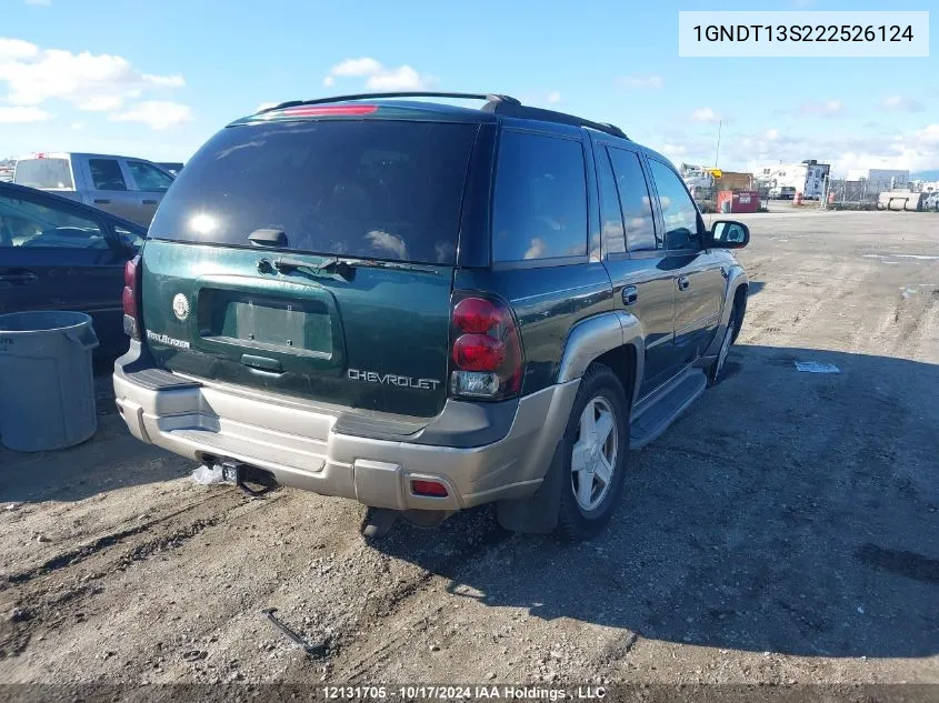 2002 Chevrolet Trailblazer VIN: 1GNDT13S222526124 Lot: 12131705