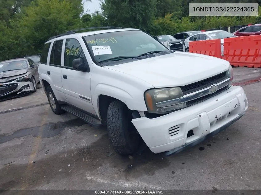 2002 Chevrolet Trailblazer Ls VIN: 1GNDT13S422224365 Lot: 40173149