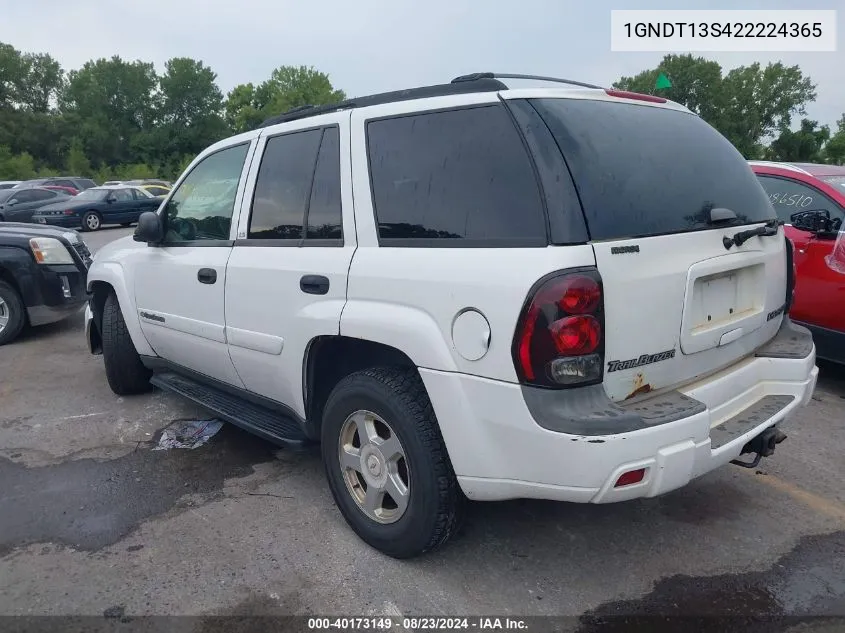 2002 Chevrolet Trailblazer Ls VIN: 1GNDT13S422224365 Lot: 40173149