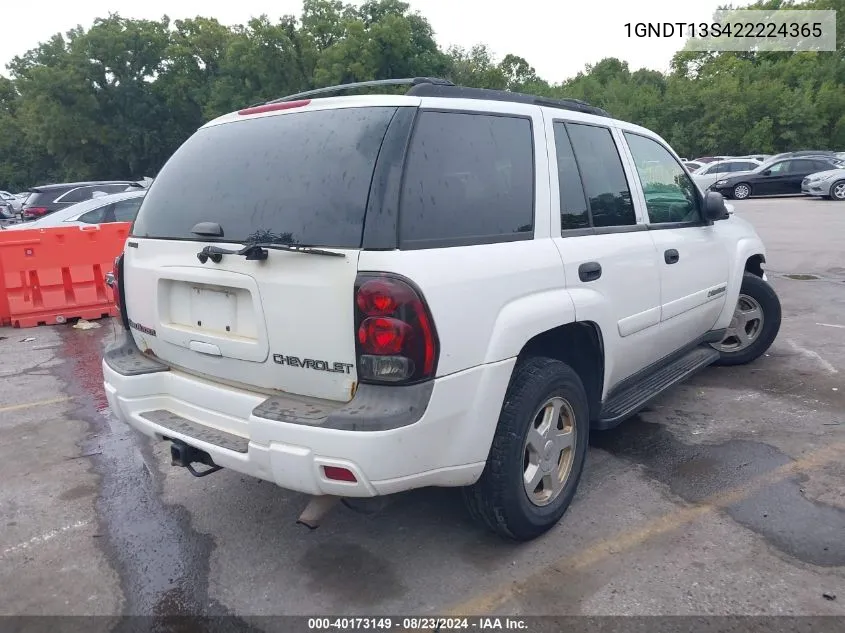 2002 Chevrolet Trailblazer Ls VIN: 1GNDT13S422224365 Lot: 40173149