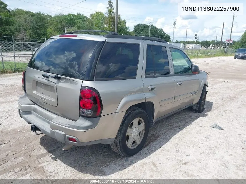 2002 Chevrolet Trailblazer VIN: 1GNDT13S022257900 Lot: 40300116