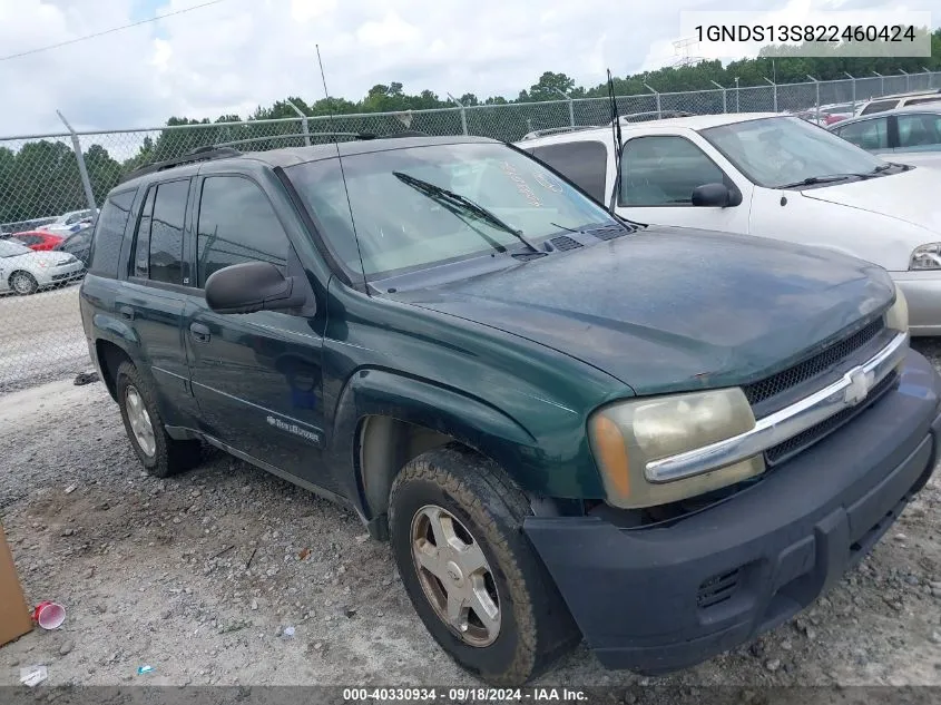 2002 Chevrolet Trailblazer Ls VIN: 1GNDS13S822460424 Lot: 40330934