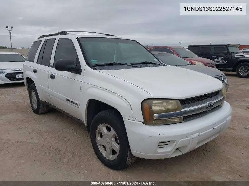 2002 Chevrolet Trailblazer Ls VIN: 1GNDS13S022527145 Lot: 40768405