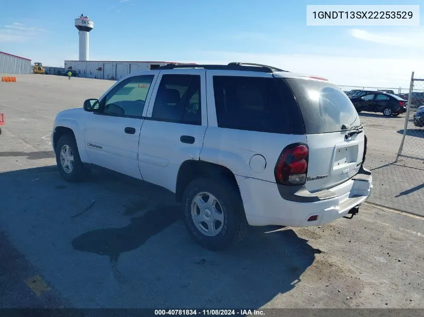 2002 Chevrolet Trailblazer Ls VIN: 1GNDT13SX22253529 Lot: 40781834