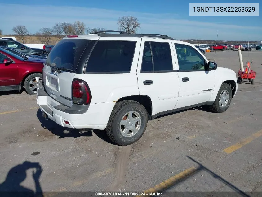 2002 Chevrolet Trailblazer Ls VIN: 1GNDT13SX22253529 Lot: 40781834