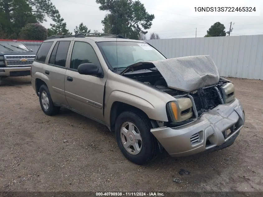 2002 Chevrolet Trailblazer VIN: 1GNDS13S722465324 Lot: 40798938