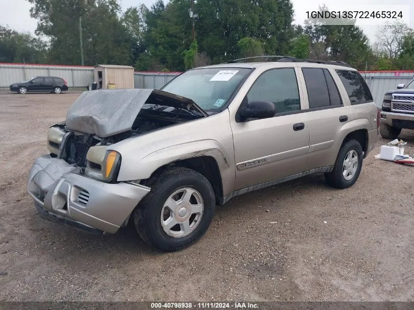 2002 Chevrolet Trailblazer VIN: 1GNDS13S722465324 Lot: 40798938