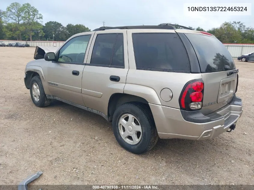 2002 Chevrolet Trailblazer VIN: 1GNDS13S722465324 Lot: 40798938