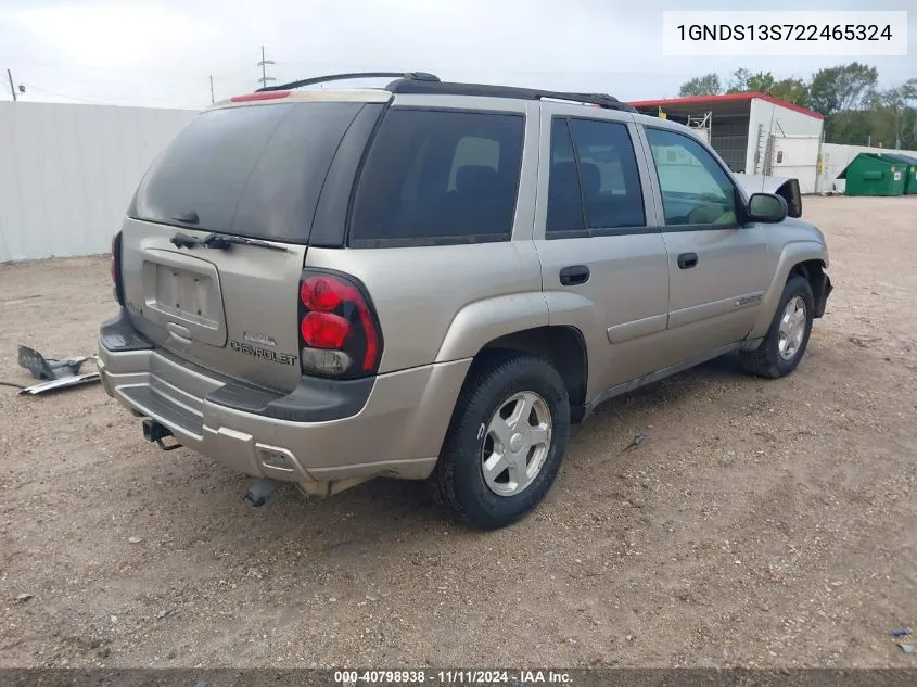 2002 Chevrolet Trailblazer VIN: 1GNDS13S722465324 Lot: 40798938