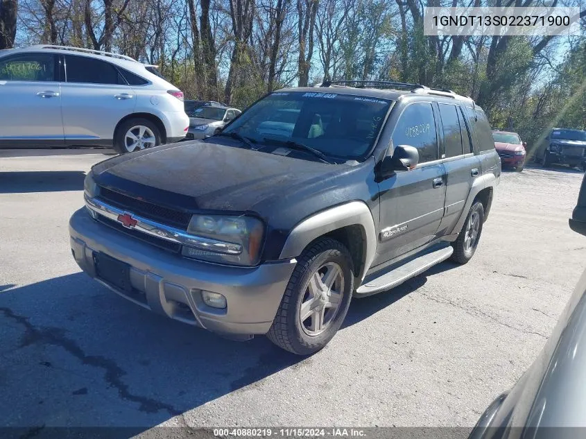 2002 Chevrolet Trailblazer Ltz VIN: 1GNDT13S022371900 Lot: 40880219