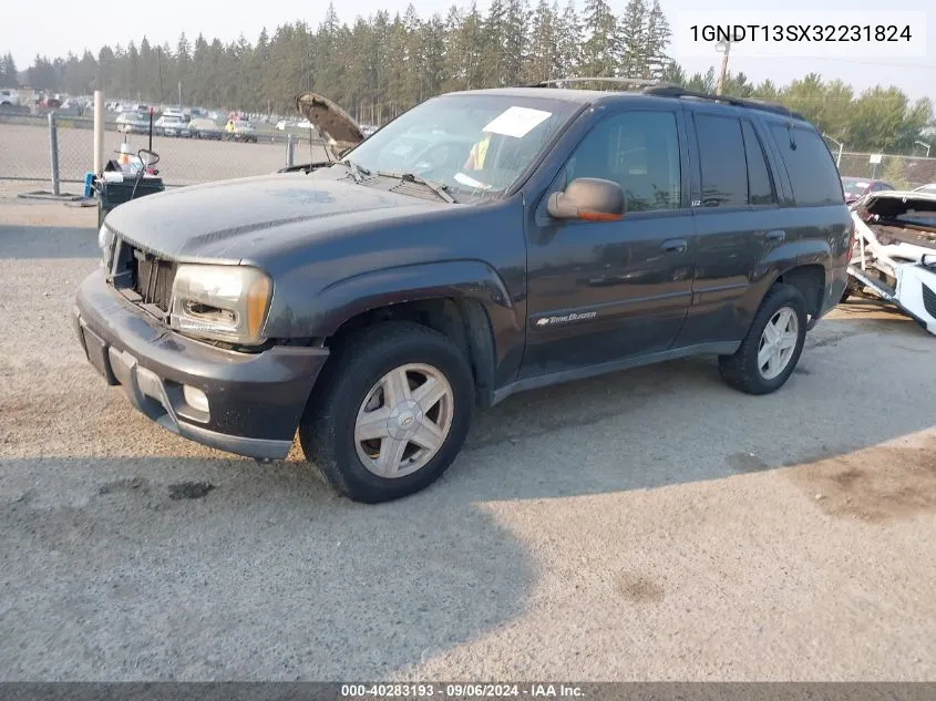 2003 Chevrolet Trailblazer Ltz VIN: 1GNDT13SX32231824 Lot: 40283193