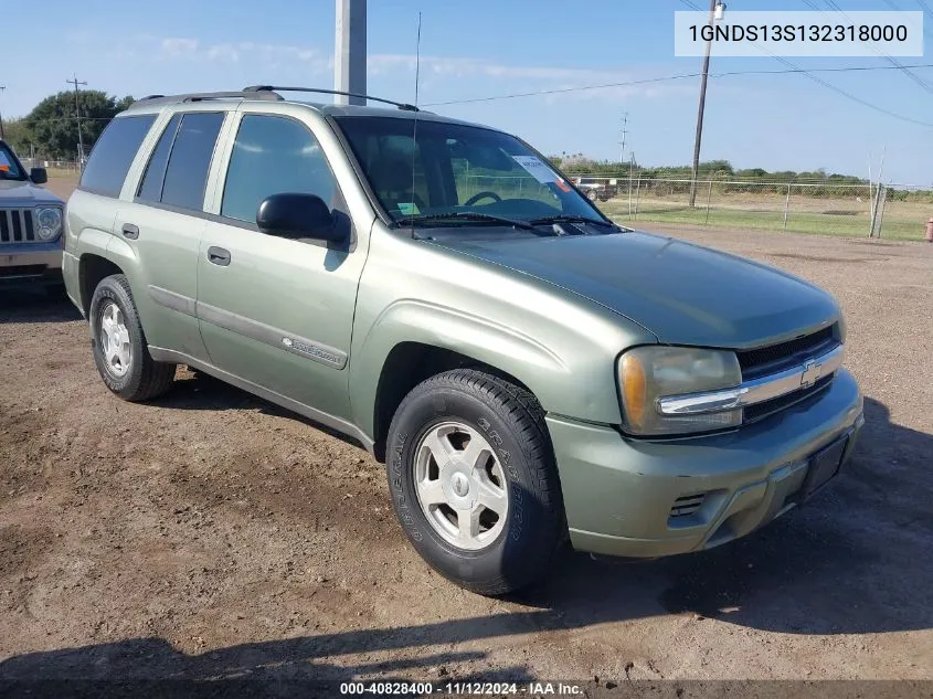 2003 Chevrolet Trailblazer Ls VIN: 1GNDS13S132318000 Lot: 40828400