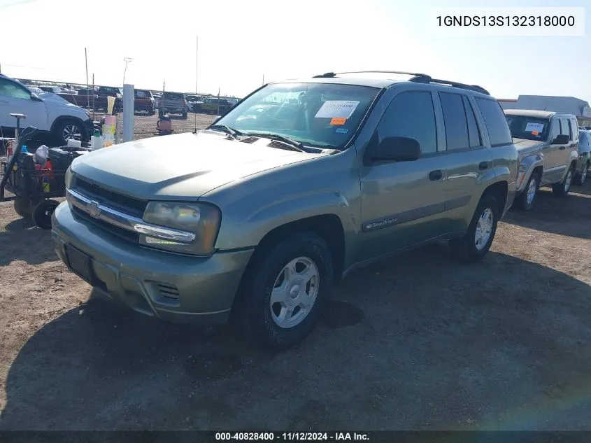 2003 Chevrolet Trailblazer Ls VIN: 1GNDS13S132318000 Lot: 40828400