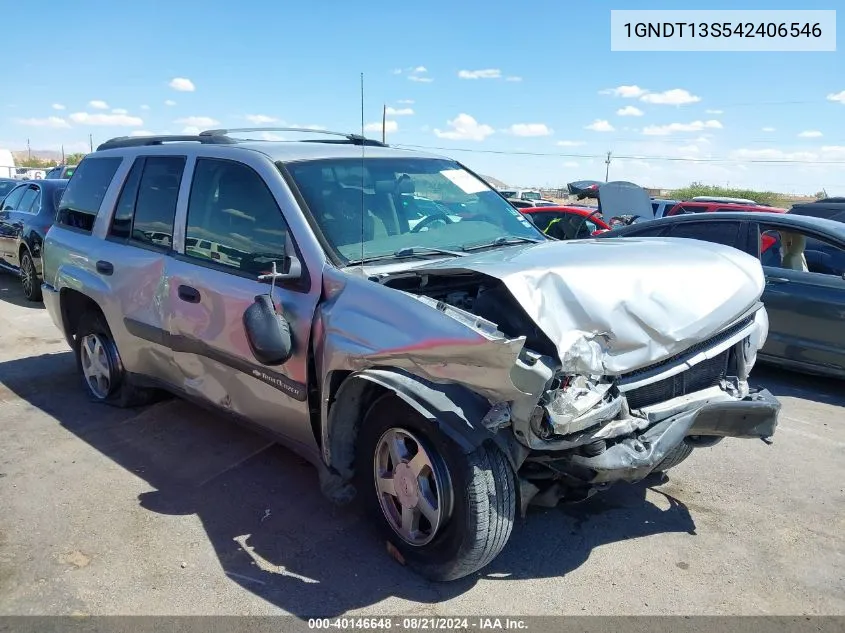 2004 Chevrolet Trailblazer Ls VIN: 1GNDT13S542406546 Lot: 40146648