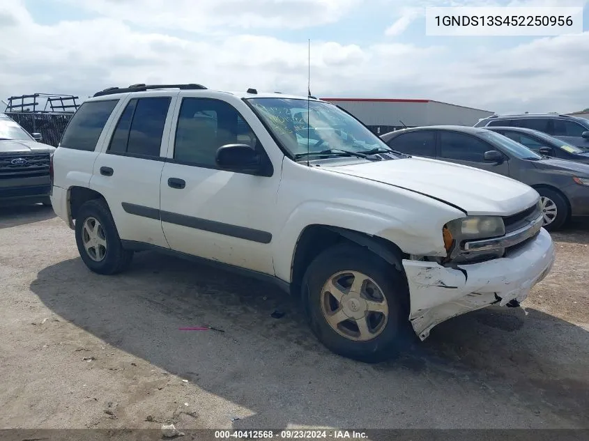 2005 Chevrolet Trailblazer Ls VIN: 1GNDS13S452250956 Lot: 40412568