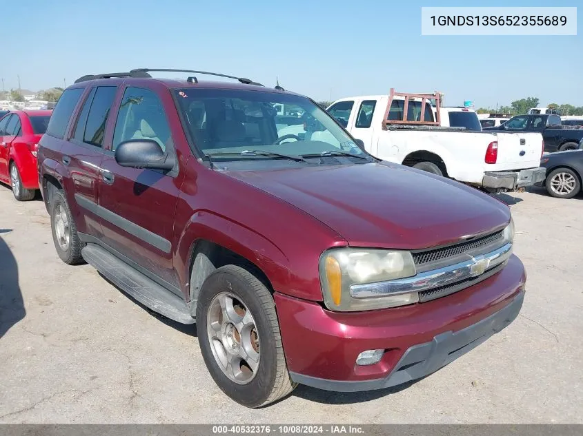 2005 Chevrolet Trailblazer Ls VIN: 1GNDS13S652355689 Lot: 40532376