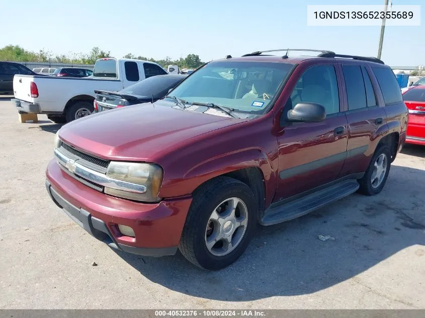 2005 Chevrolet Trailblazer Ls VIN: 1GNDS13S652355689 Lot: 40532376