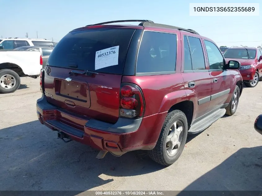 2005 Chevrolet Trailblazer Ls VIN: 1GNDS13S652355689 Lot: 40532376