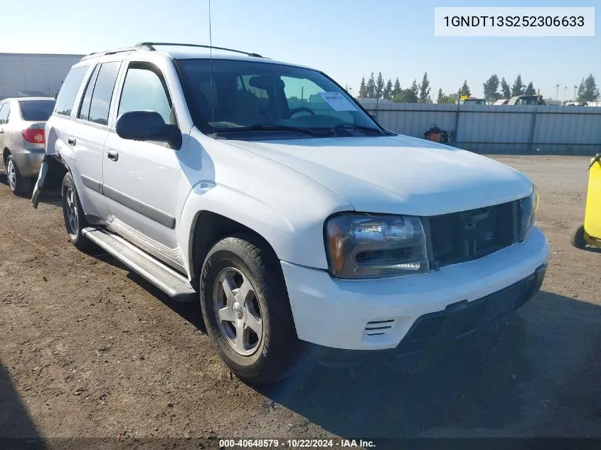 2005 Chevrolet Trailblazer Ls VIN: 1GNDT13S252306633 Lot: 40648579