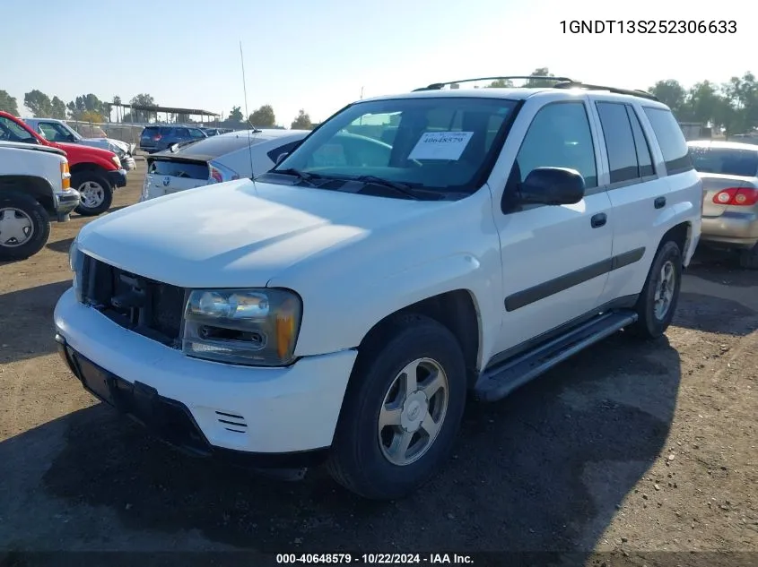 2005 Chevrolet Trailblazer Ls VIN: 1GNDT13S252306633 Lot: 40648579