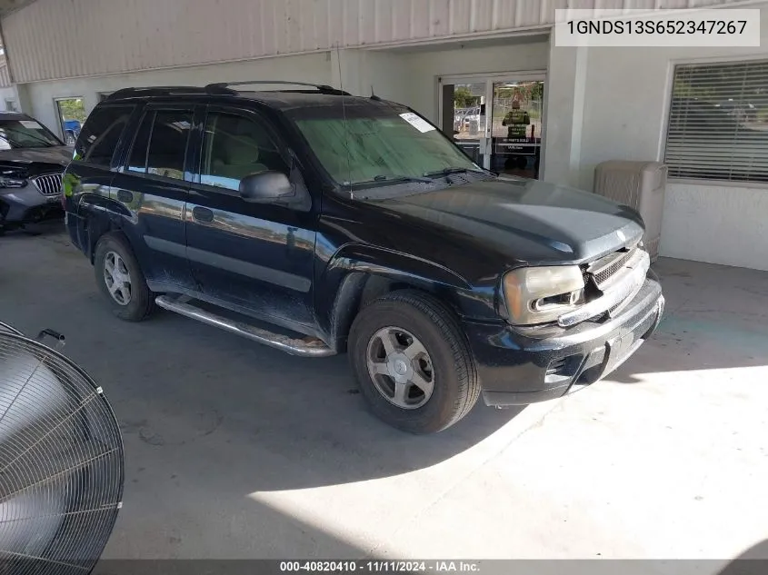 2005 Chevrolet Trailblazer Ls VIN: 1GNDS13S652347267 Lot: 40820410